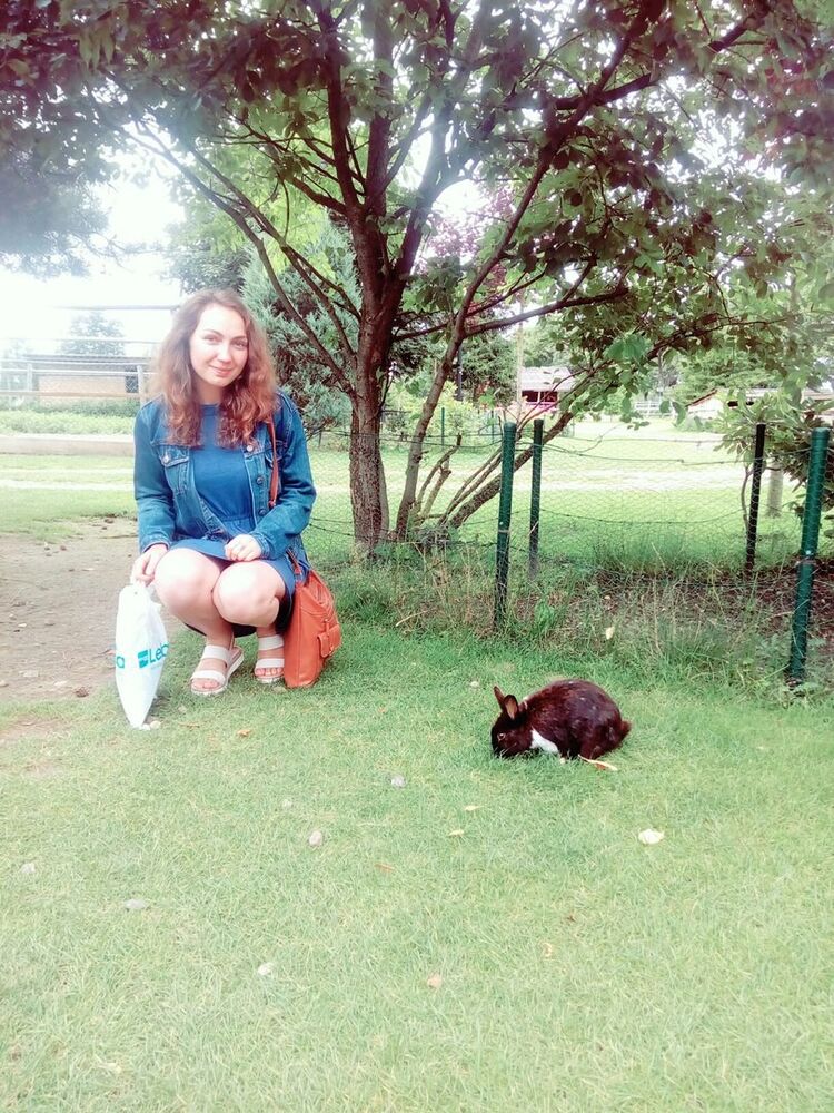 ,   , 29 ,  