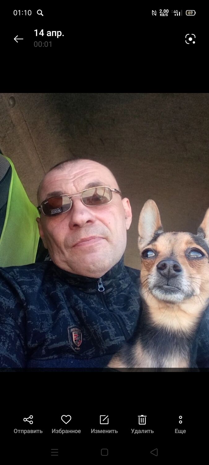 ���� 24026581 ������� ��������, 50 ���, ���� ���������� � �������������