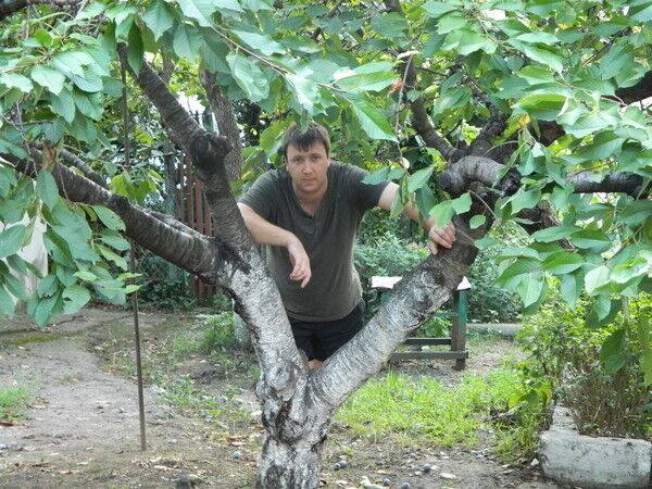 ���� 9833571 ������� �����, 43 ����, ���� ���������� � ������