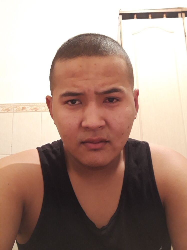  ,   Dima, 31 ,     , c , 
