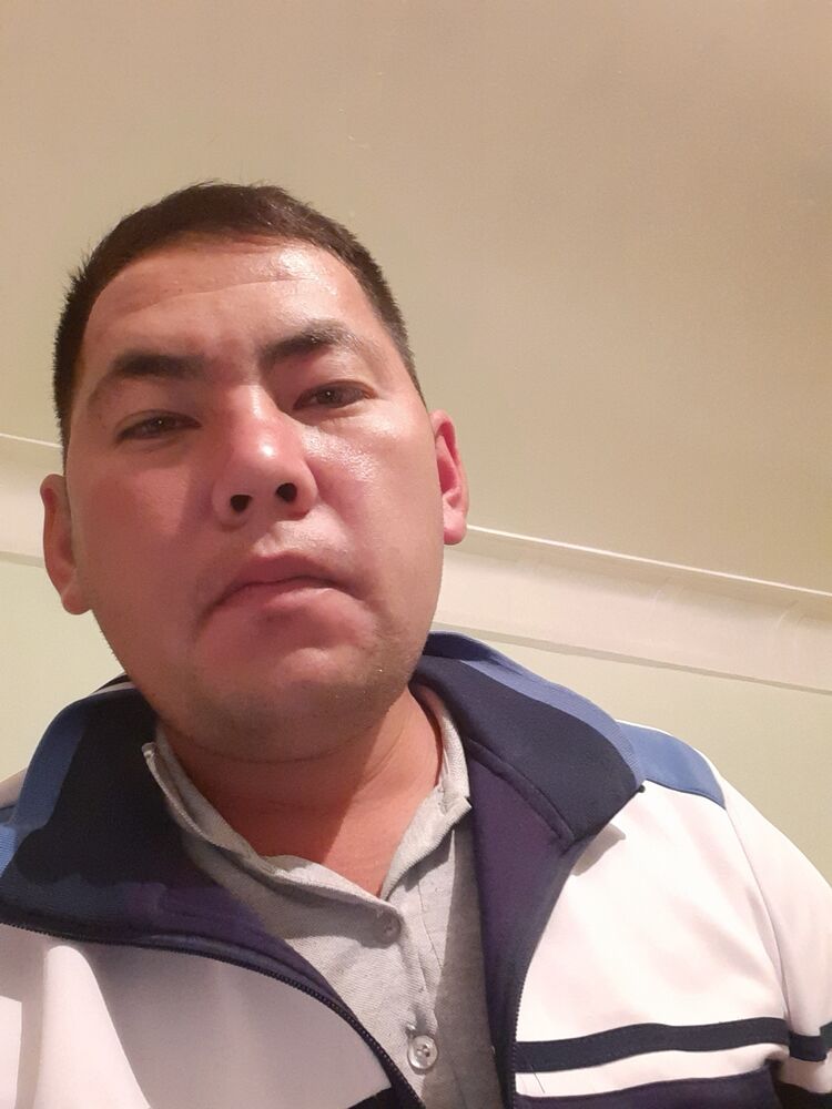  31279711  , 33 ,    