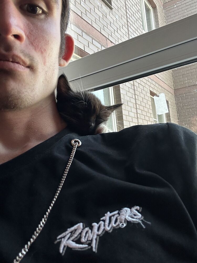 ���� 46887521 ������� ������, 26 ���, ���� ���������� � ������