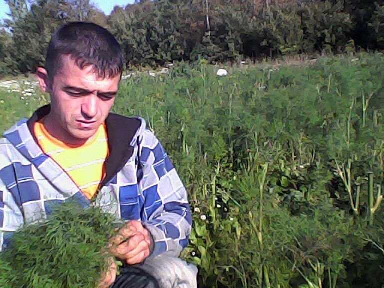 ���� 20895101 ������� �������, 45 ���, ���� ���������� � �����-����������