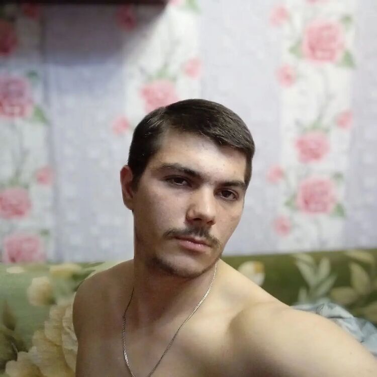  44247451  , 22 ,    