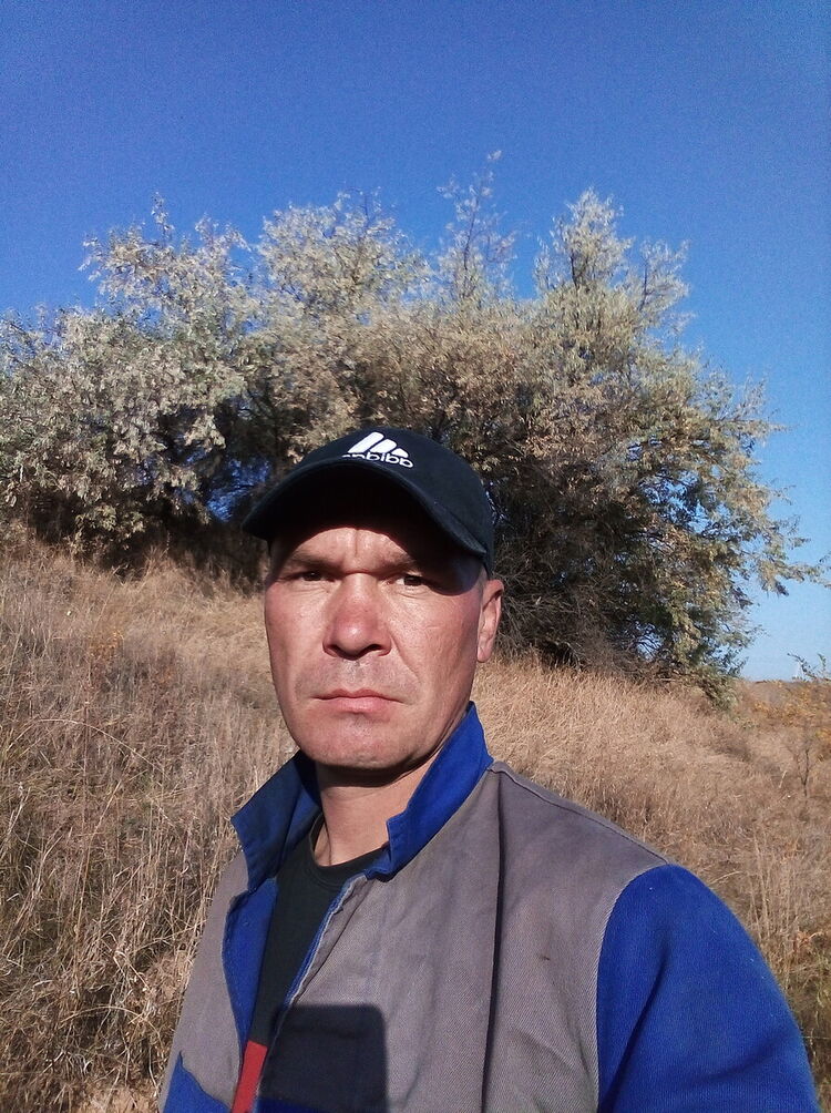 ���� 22303781 ������� ���������, 43 ����, ���� ���������� � ��������