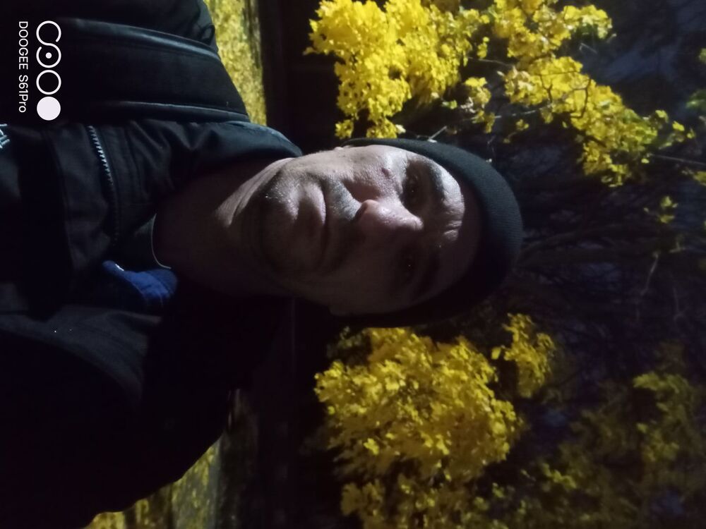  47301931  , 43 ,    