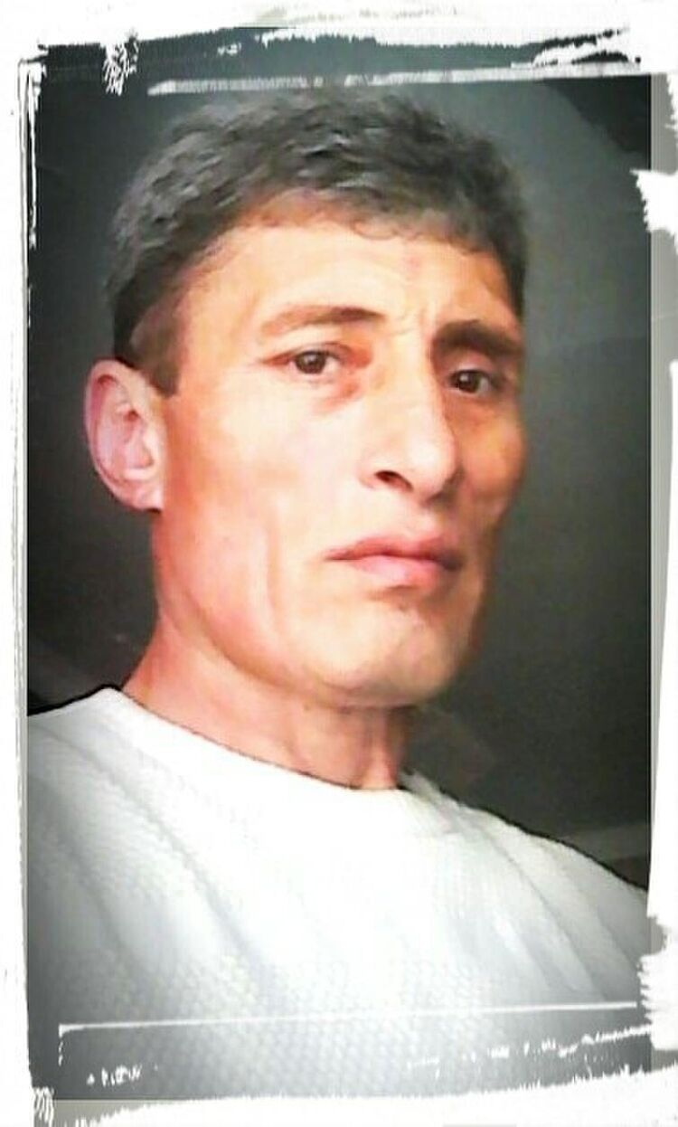  27941491  , 62 ,    