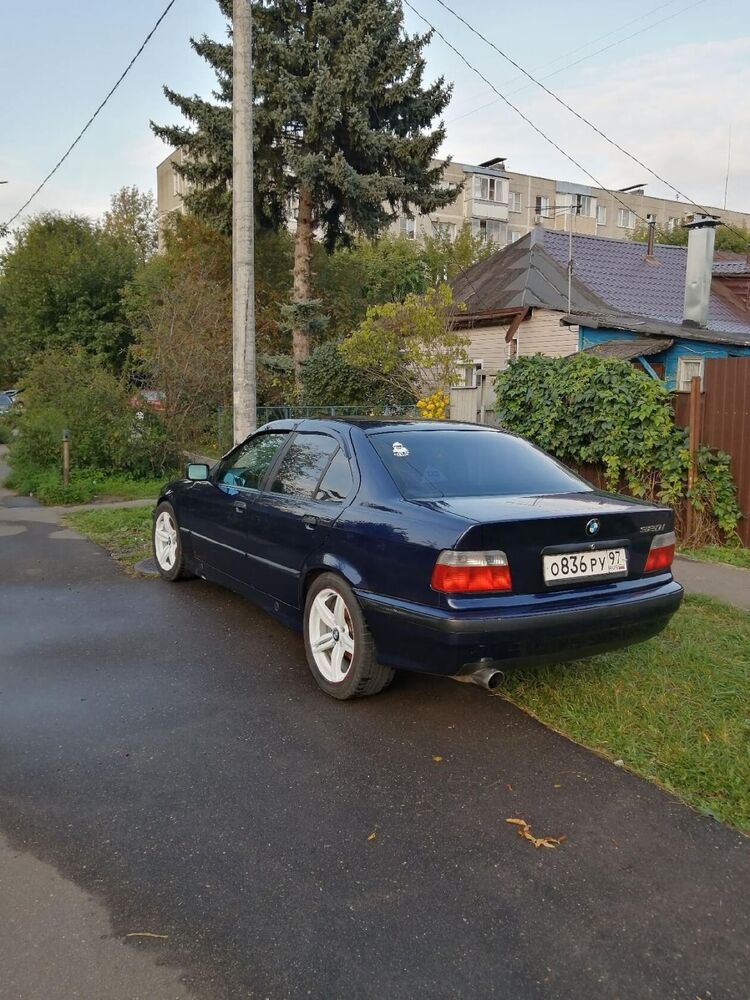 ���������� ���������, ���� ������� ����, 31 ���, ������������ ��� ������, ����� � ���������, c�������� ���������, ���������