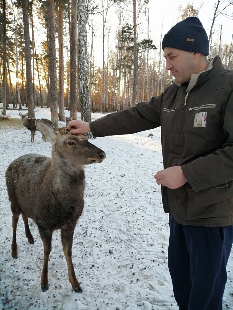 ���������� ������������, ���� ������� �������, 48 ���, ������������ ��� ������, ����� � ���������