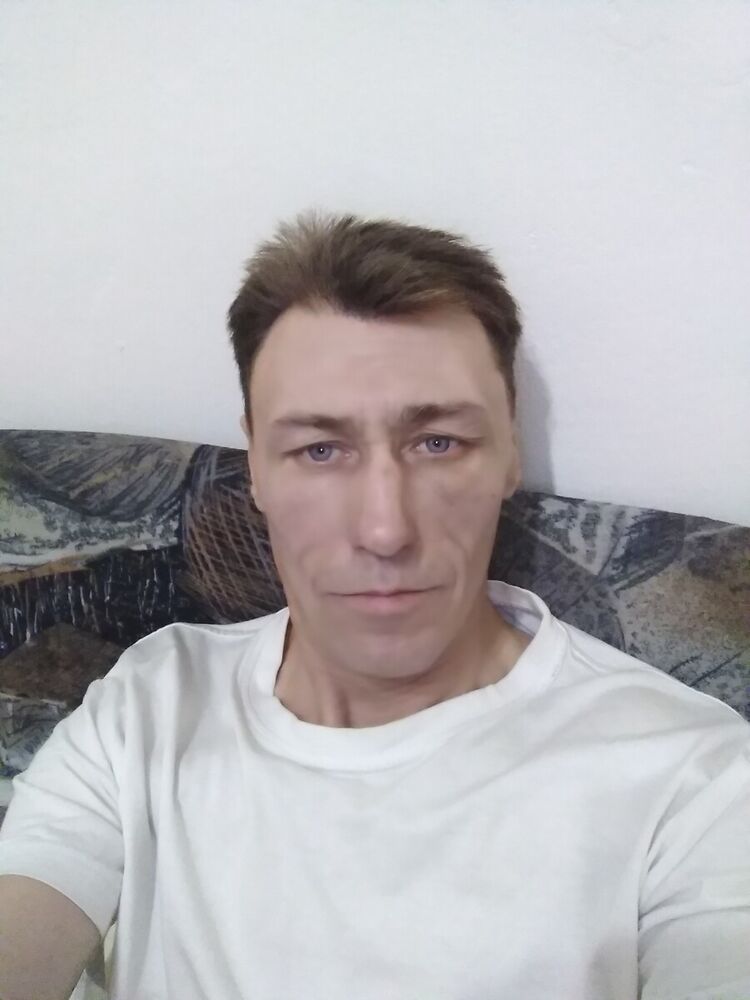  22480081  , 44 ,    -