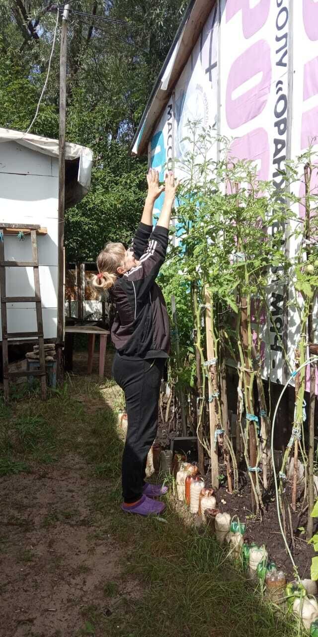  ,   Elena, 53 ,     , c 
