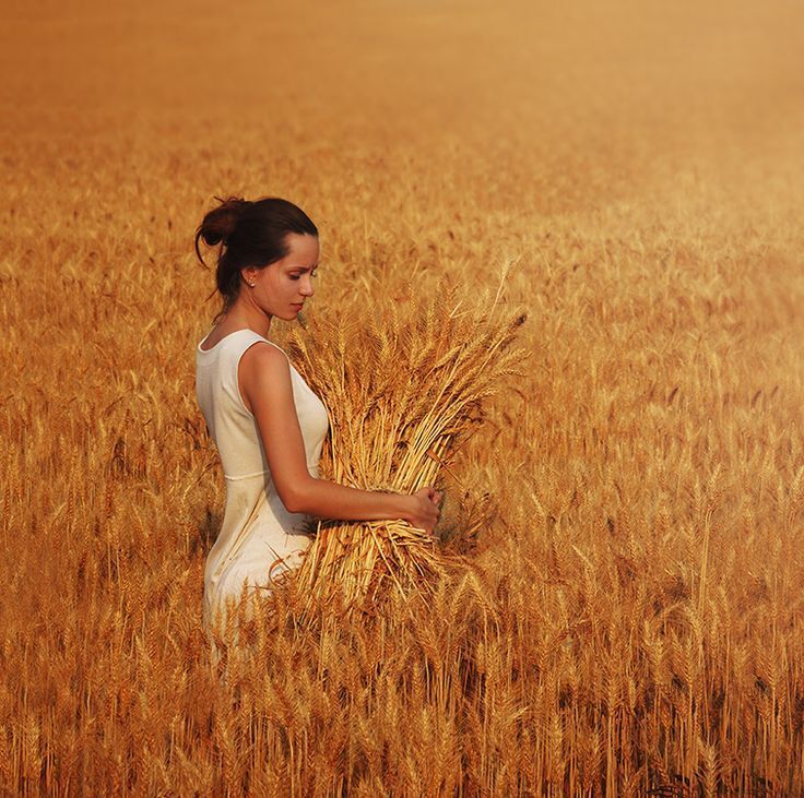 ���� 52274981 ������� ����, 36 ���, ���� ���������� � ������