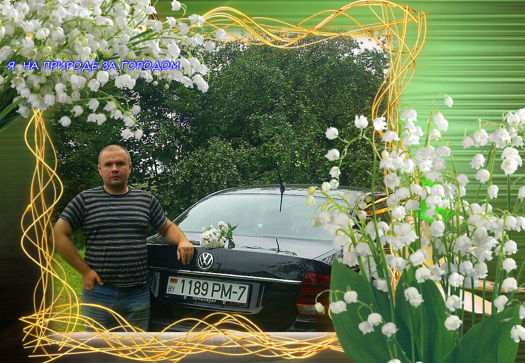  17546911  , 39 ,    
