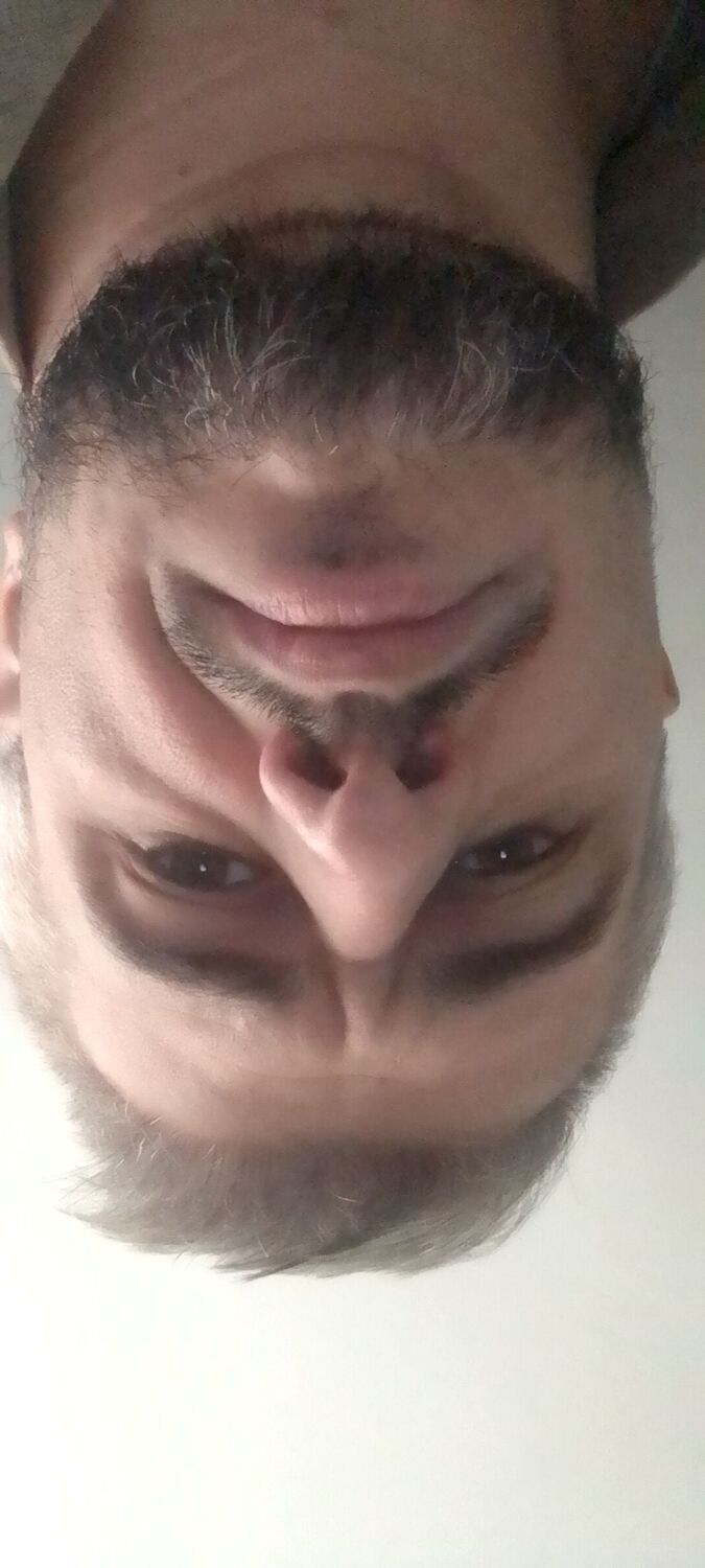 ���� 31377551 ������� Mylat, 35 ���, ���� ���������� � ���������