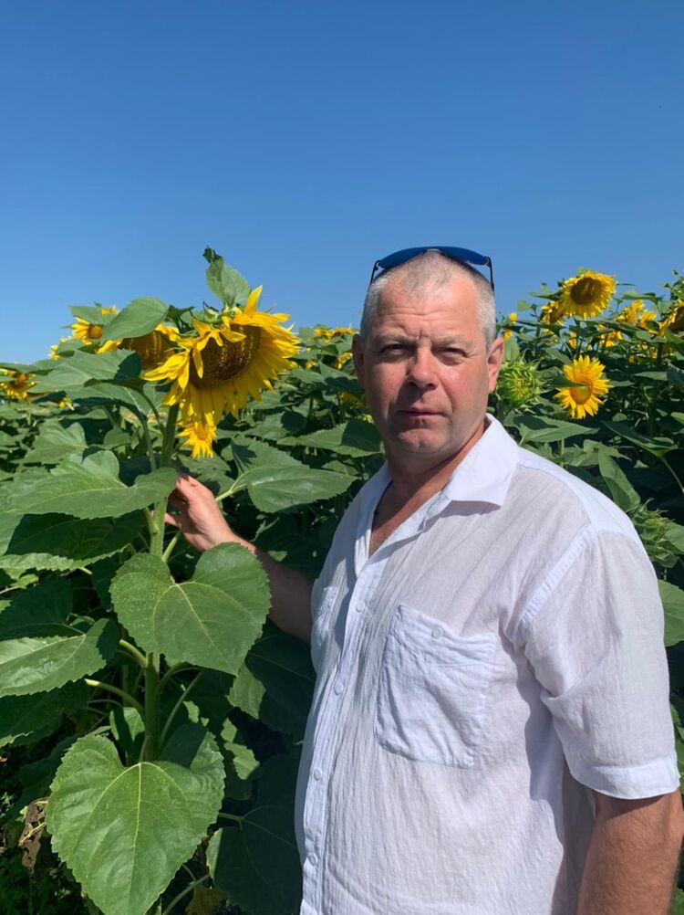 ���� 55552031 ������� �������, 56 ���, ���� ���������� � ��������