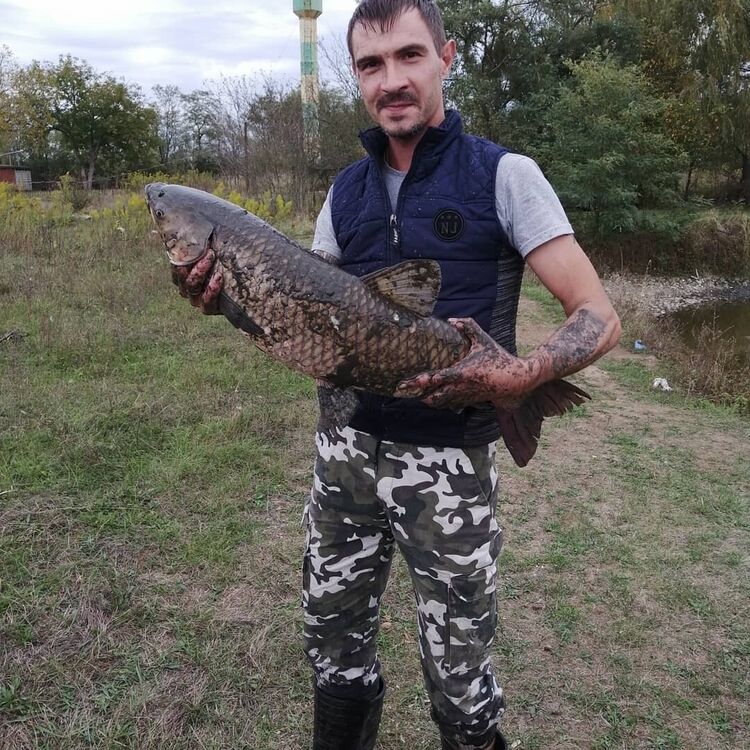 ���� 20809761 ������� ��������, 37 ���, ���� ���������� � �������