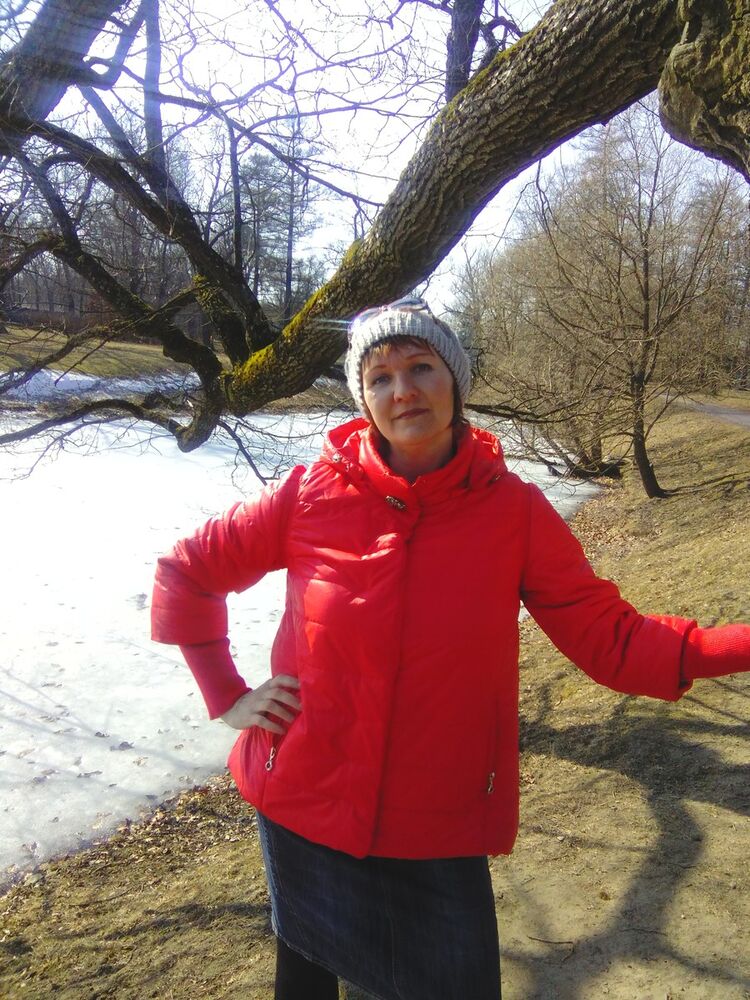  8501591  , 50 ,    -