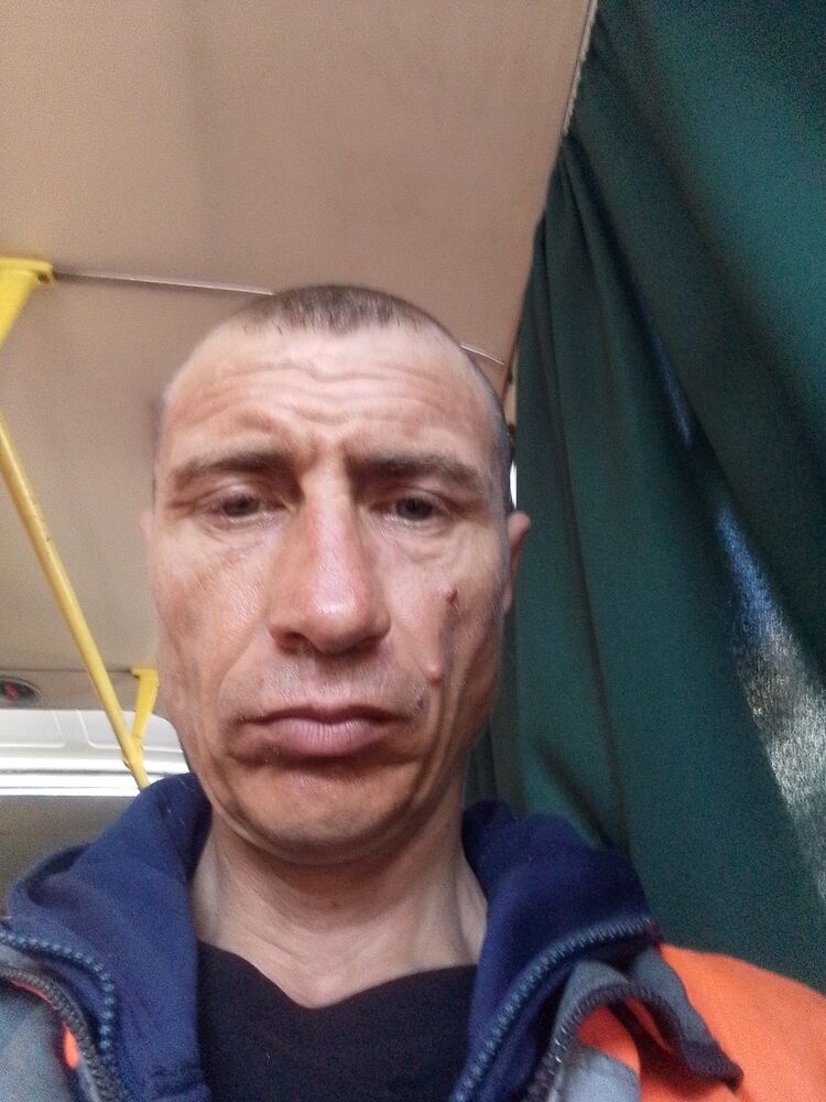 43649851  , 41 ,    