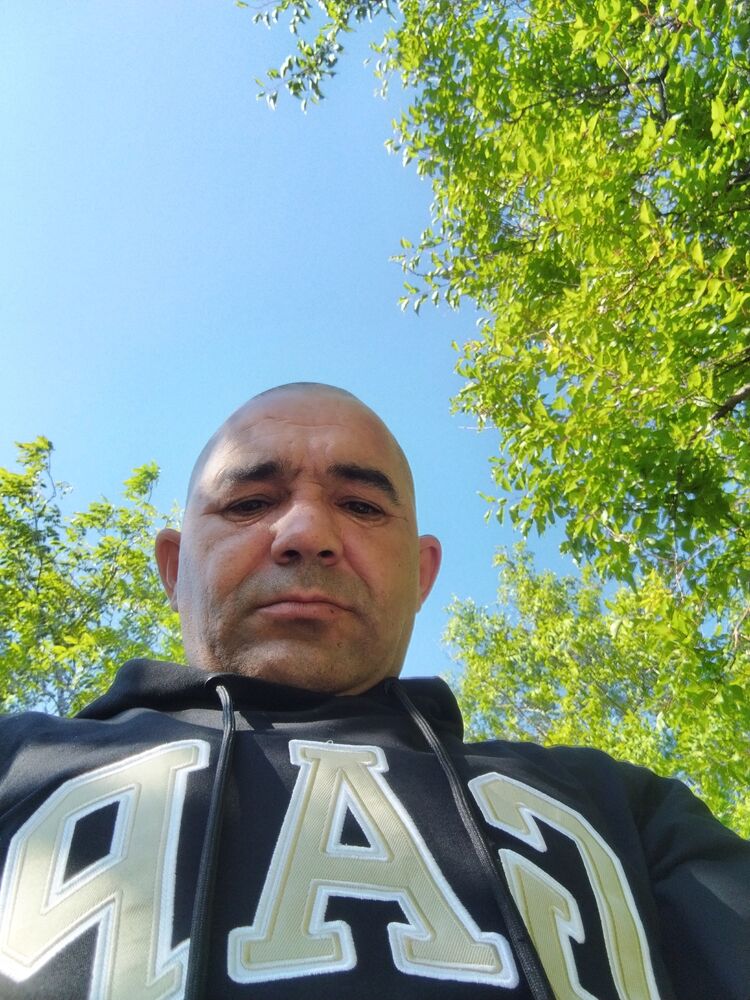  43453981  , 45 ,    -