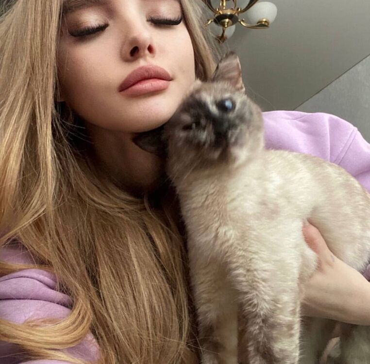 ���������� �����-���������, ���� ������� ���, 23 ����, ������������ ��� ������, ����� � ���������