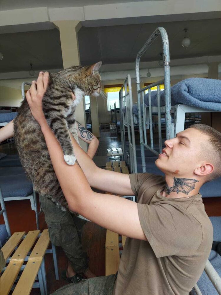 ���������� �������������-����������, ���� ����� ����, 23 ����, ������������ ��� ������