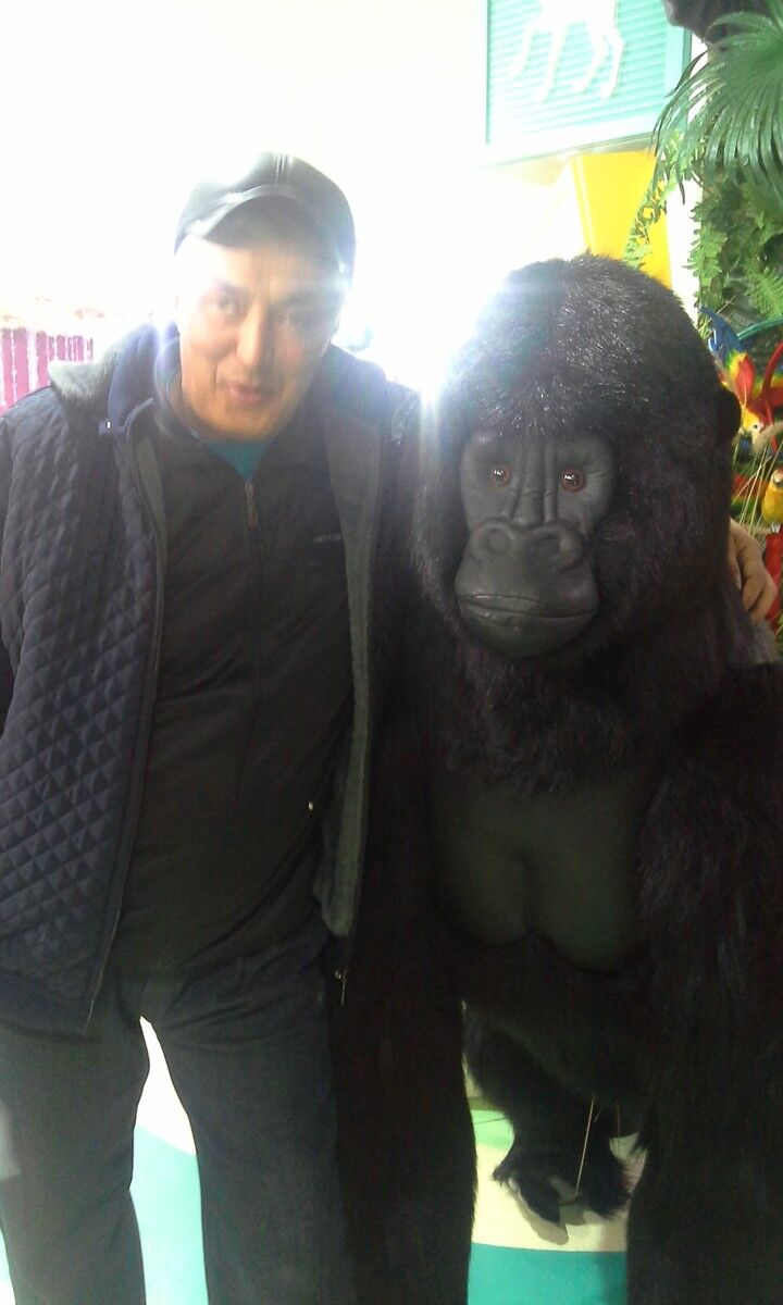 ���������� ������, ���� ������� ����, 56 ���, ������������ ��� ������