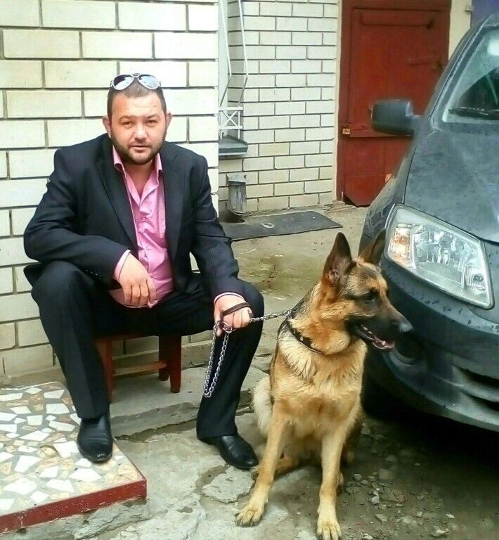 ���� 27781071 ������� ���������, 44 ����, ���� ���������� � ��������