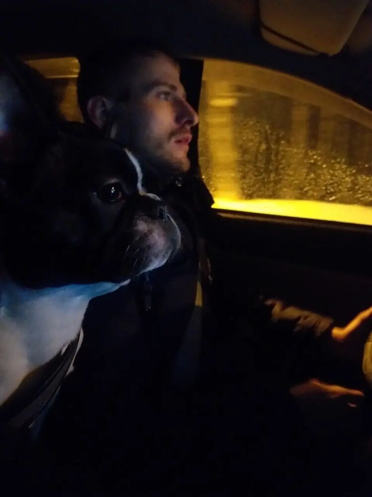 ���� 26350651 ������� �����, 35 ���, ���� ���������� � ������