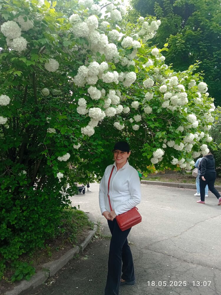  ,   , 62 ,     , c 