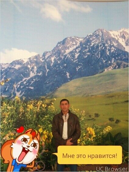  8591181  , 41 ,    --