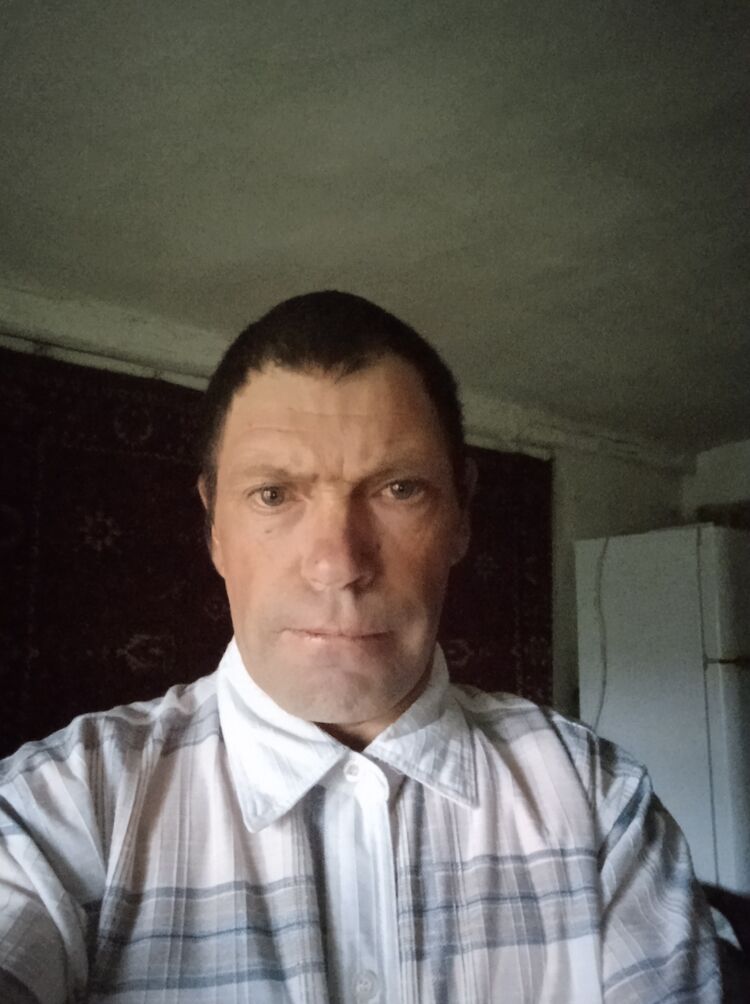  41742731  Volody, 41 ,    -