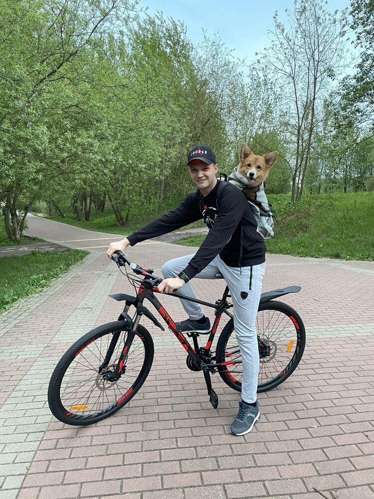 ���������� ������, ���� ������� �������, 33 ����, ������������ ��� ������, ����� � ���������, c�������� ���������, ���������