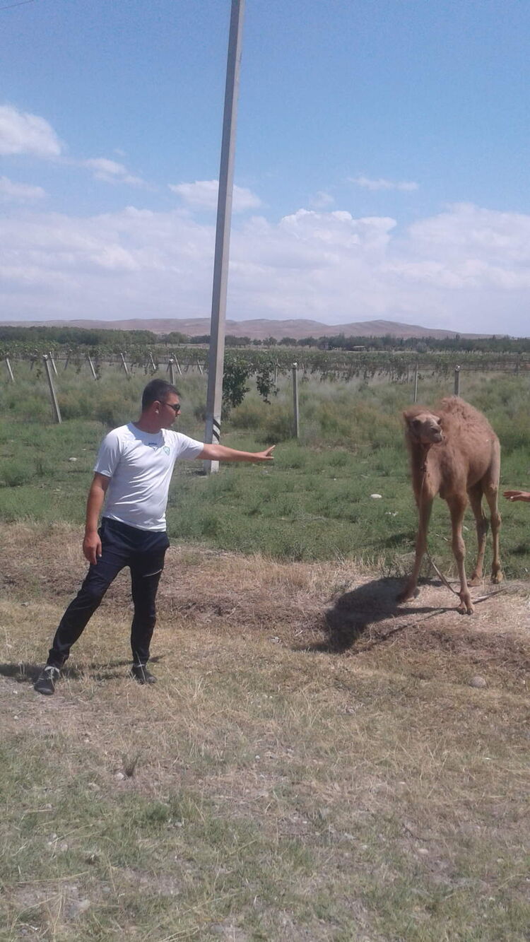  32418971  , 42 ,    -