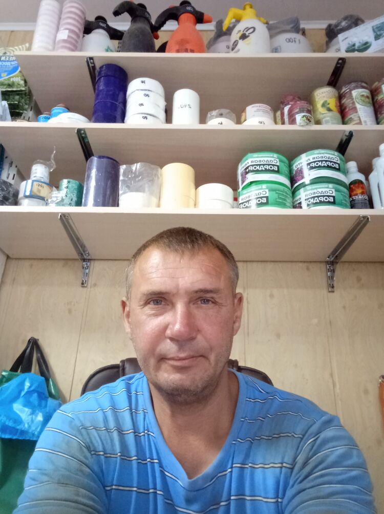  43649841  , 46 ,    