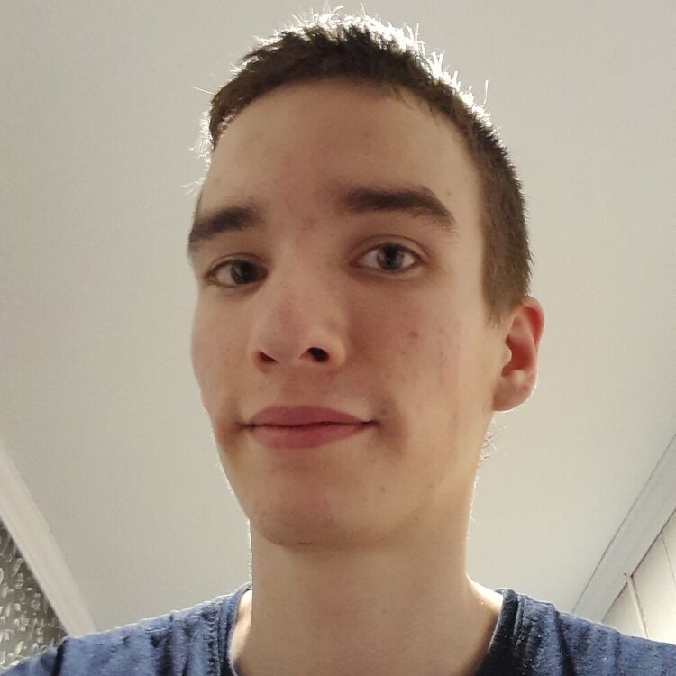  33460721  , 24 ,    
