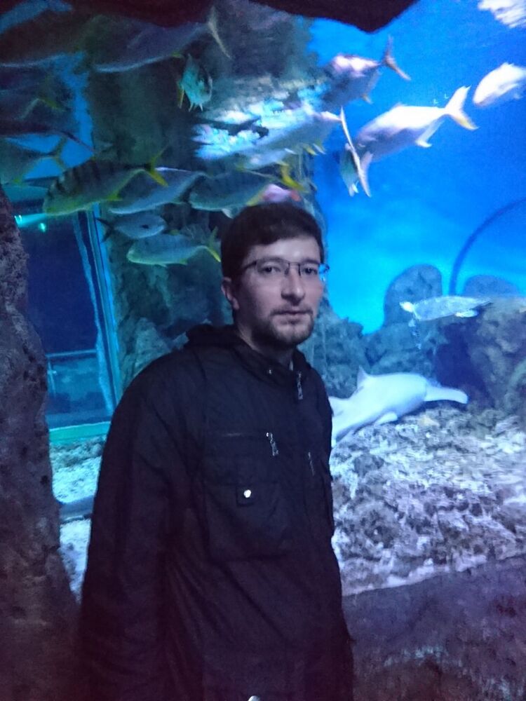 ���� 32809671 ������� �������, 36 ���, ���� ���������� � ������