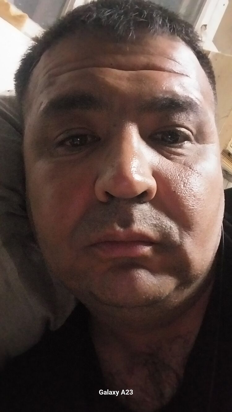  42842621  , 43 ,    