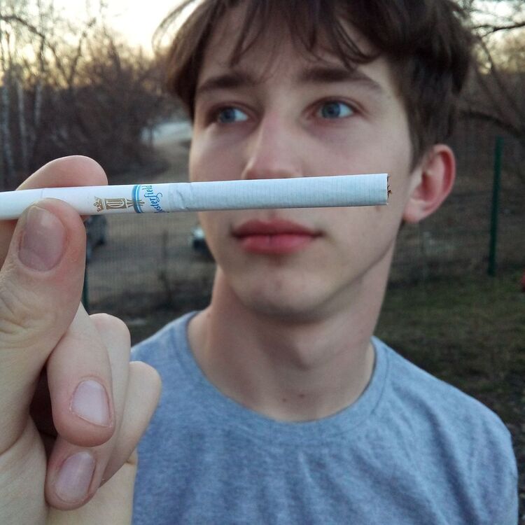 ���� 43179131 ����� ����, 22 ����, ���� ���������� � �����