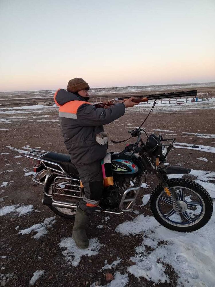 ���������� ������, ���� ������� ������, 37 ���, ������������ ��� ������, ����� � ���������