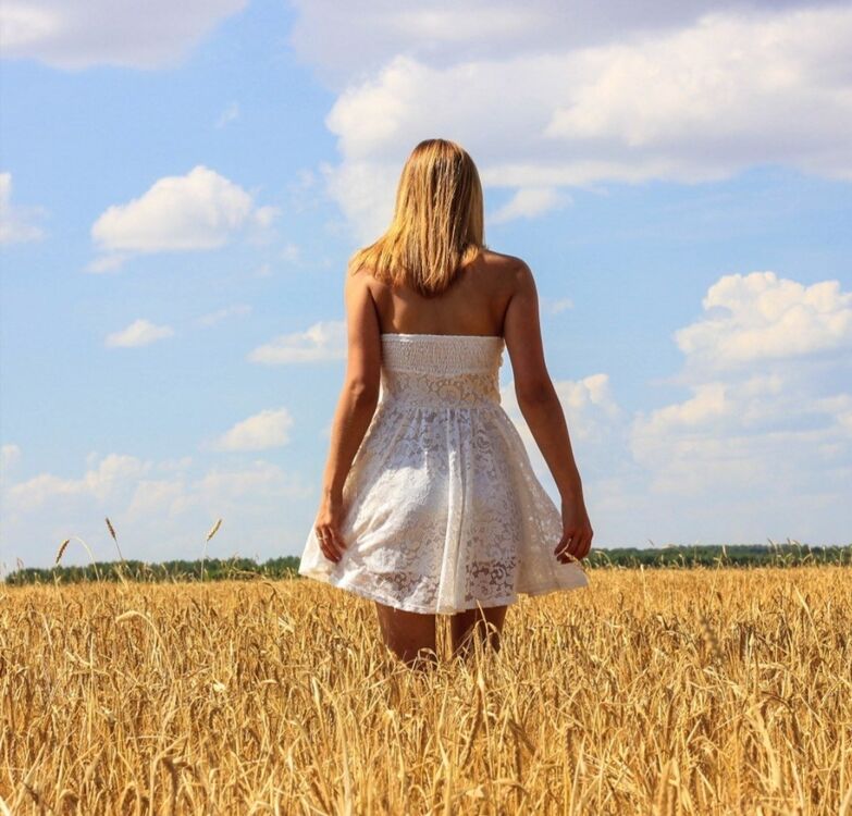 ���� 28504731 ������� ��������, 33 ����, ���� ���������� � ������������