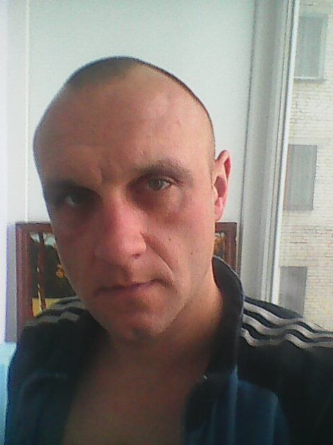  -,   , 41 ,   