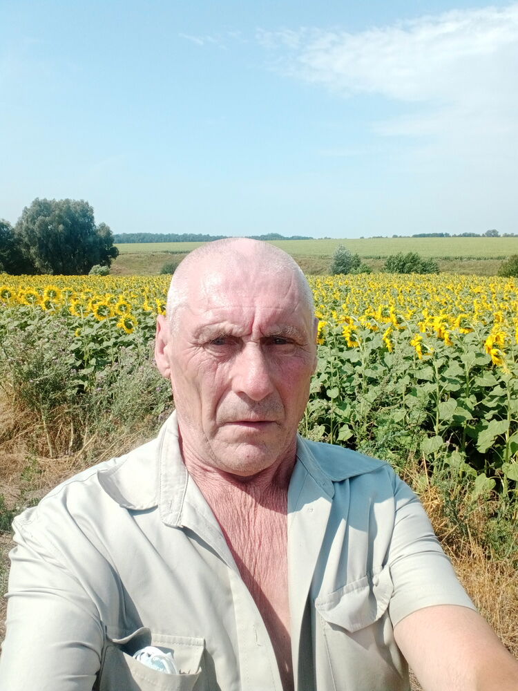  26828721  , 62 ,    