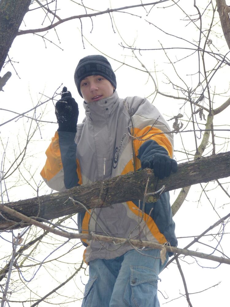 ���������� ����, ���� ������� ��������, 31 ���, ������������ ��� ������