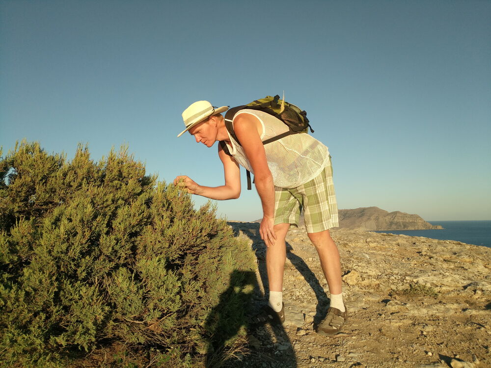 ���������� ��������, ���� ������� ������, 47 ���, ������������ ��� c�������� ���������