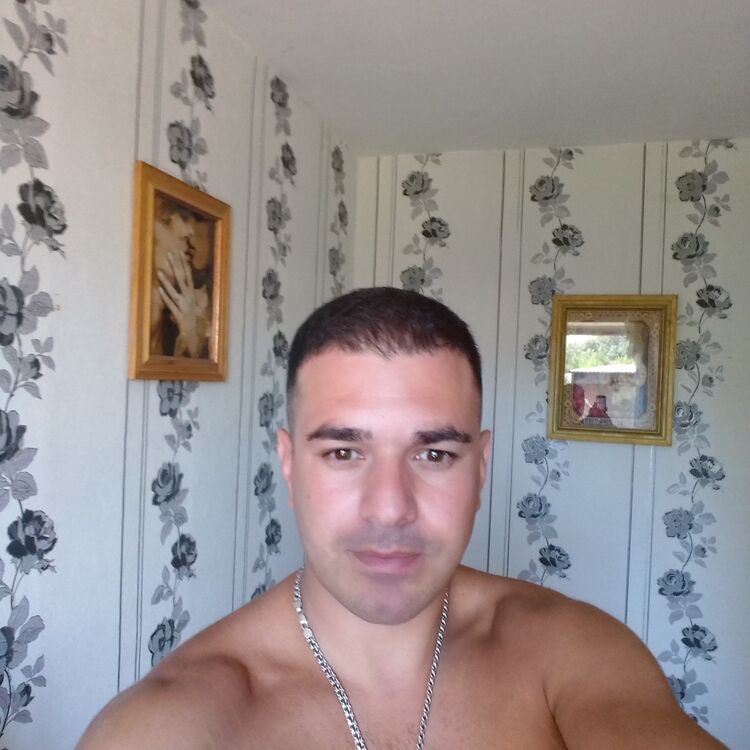  17537771  , 41 ,    