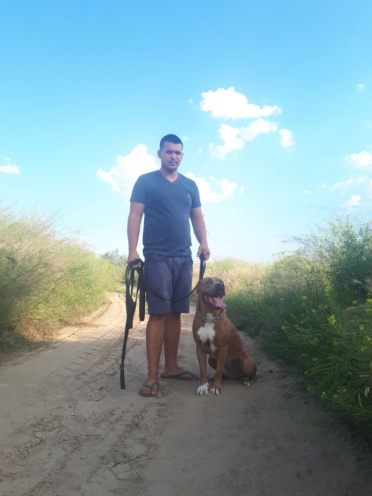 ���� 23419581 ������� ������, 26 ���, ���� ���������� � ������