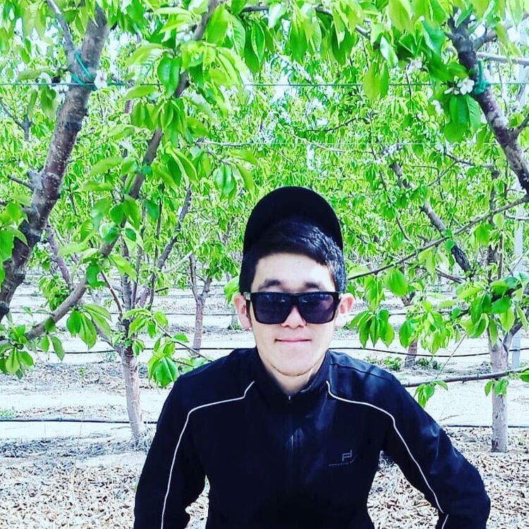 ���������� ������, ���� ������� �����, 26 ���, ������������ ��� ������, ����� � ���������, c�������� ���������, ���������