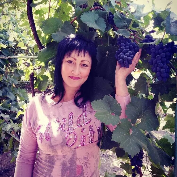 ���������� �����-���������, ���� ������� �������, 46 ���, ������������ ��� ������, ����� � ���������