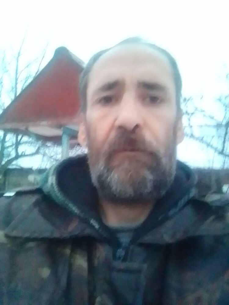  51323381  , 46 ,    