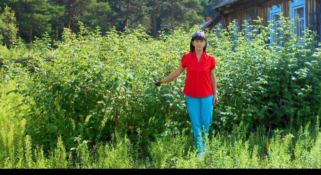 ���� 55533961 ������� �����, 45 ���, ���� ���������� � ����-�������